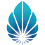 lucentadvisory.com.au