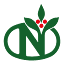 nkg.de