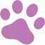 petstay.net