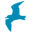 stpetedentist.com