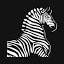 zebra.cz