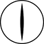 crocodilo.press