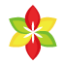 daeya-flower.com