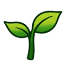 floresdebach.net
