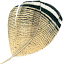 flytyer.com