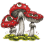 muhomor.pro