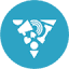 voscur.org