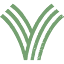 willsnorfolklawns.co.uk
