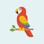 allaboutparrots.com