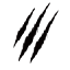 birchhunters.com