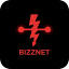 bizznet.at