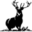 captainstag.net