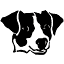 jackrussellsa.co.za