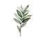 jukneipp.com