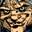 nightowlpro.com