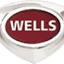 wells-mfg.com