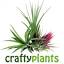 craftyplants.co.uk