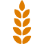 feedingtexas.org
