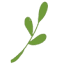 kunefe.net