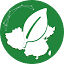 mongoing.com