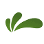 paluze.com