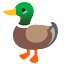 secretduckclub.com