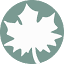 socialjustice.org