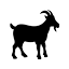 stubborngoat.ca