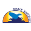 barharborwhales.com