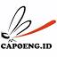capoeng.net