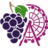grapefestival.com