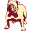 kingsballard.com