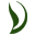 nzdsn.org.nz
