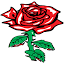 rosesigns.co.za