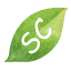 sydneyconfesters.com.au