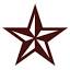 texasstarpainting.com