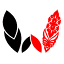 wdesignbali.com