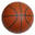 worldofbasketball.org