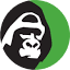 zgf.de