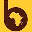birdstoryagency.com