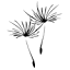 bloomandgo.com