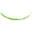 class1ortho.com.au
