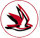 indianbirds.in