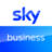 skybusiness.com
