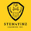 stem4yinz.org