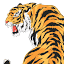 tigrasintl.com