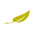 biovita.com