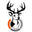 boneview.com
