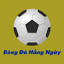 bongdahangn***.net