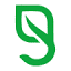 bonsilage.de